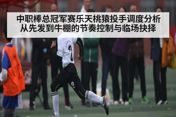 中职棒总冠军赛乐天桃猿投手调度分析从先发到牛棚的节奏控制与临场抉择