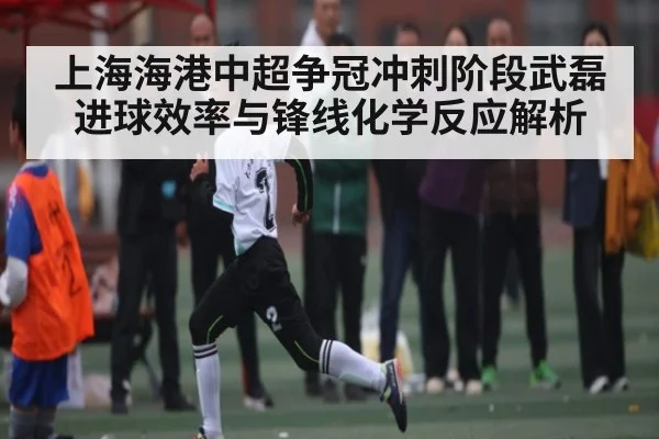 上海海港中超争冠冲刺阶段武磊进球效率与锋线化学反应解析